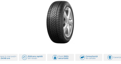 anvelope de iarna DUNLOP205/55 R16 91T