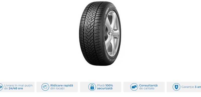 anvelope de iarna DUNLOP205/55 R16 91T